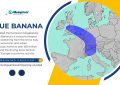 Blue Banana - Meaning Unveiled