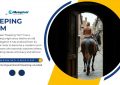 Peeping Tom - Meaning Unveiled
