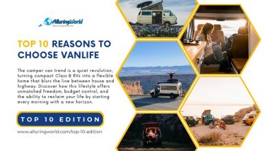 10 Reasons to Choose Vanlife - Top 10 Edition