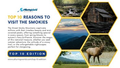 10 Reasons to Visit the Great Smoky Mountains with each season - Top 10 Edition