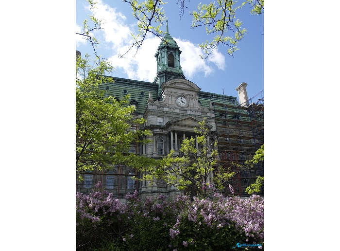 2 Montreal City Hall