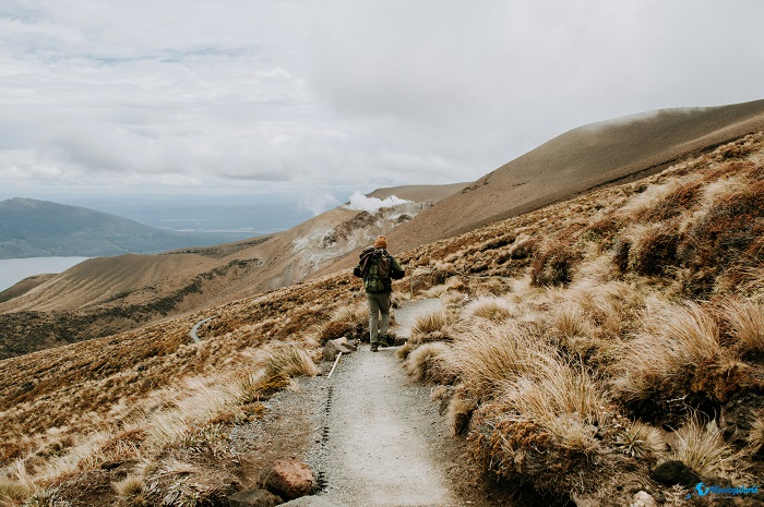 3 Tongariro National Park