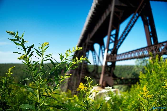 6 Kinzua Bridge