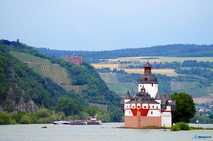 6 Pfalzgrafenstein
