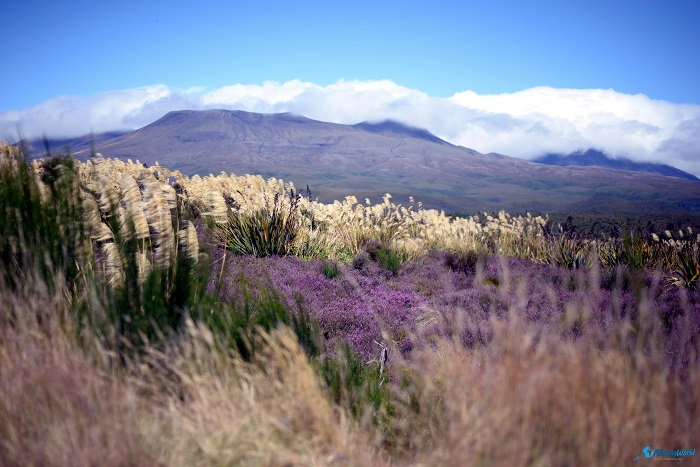 6 Tongariro National Park