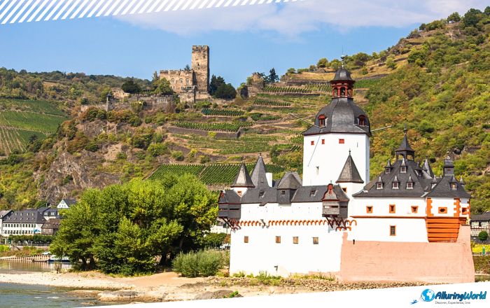 7 Pfalzgrafenstein Castle