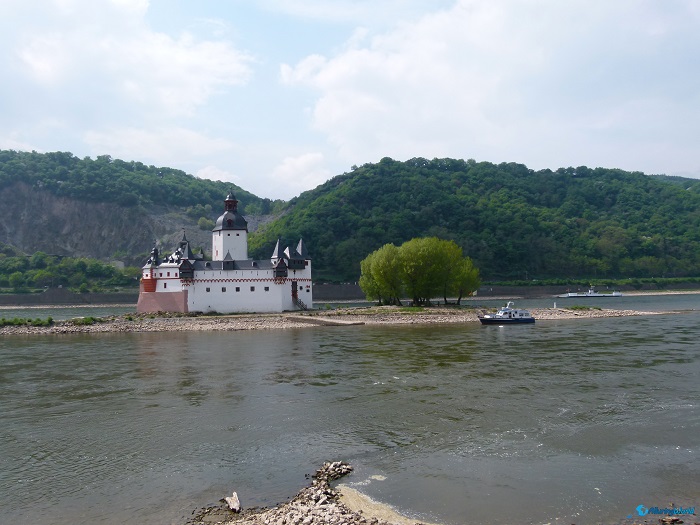 8 Pfalzgrafenstein