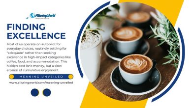Finding Excellence - Meaning Unveiled
