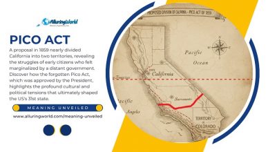Pico Act - Meaning Unveiled