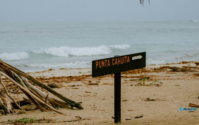 1 Cahuita National Park