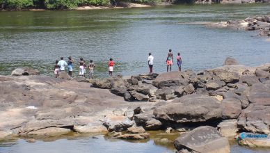 1 Central Suriname Nature Reserve in Suriname, South America