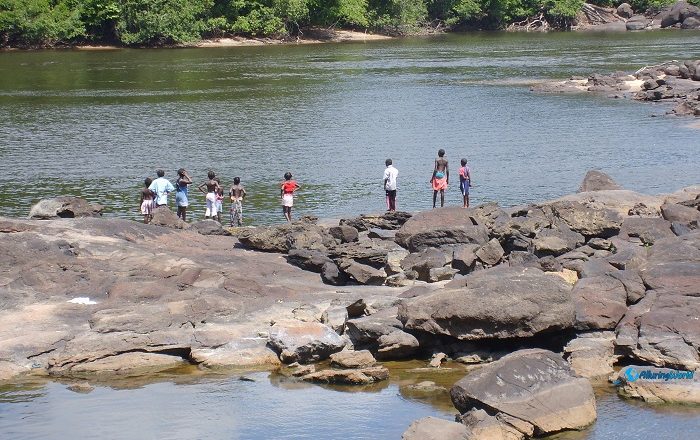 1 Central Suriname Nature Reserve in Suriname, South America