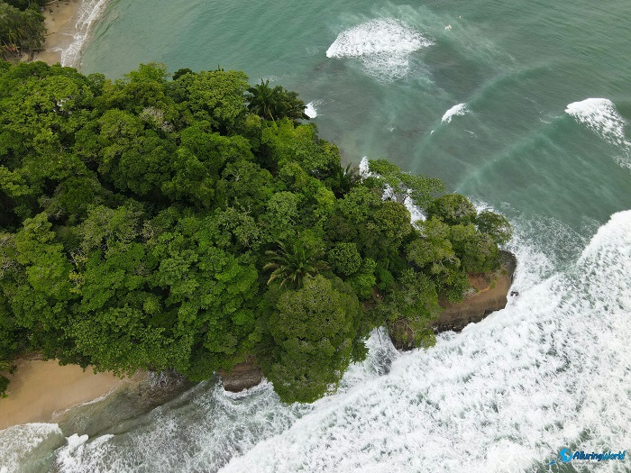 12 Cahuita National Park