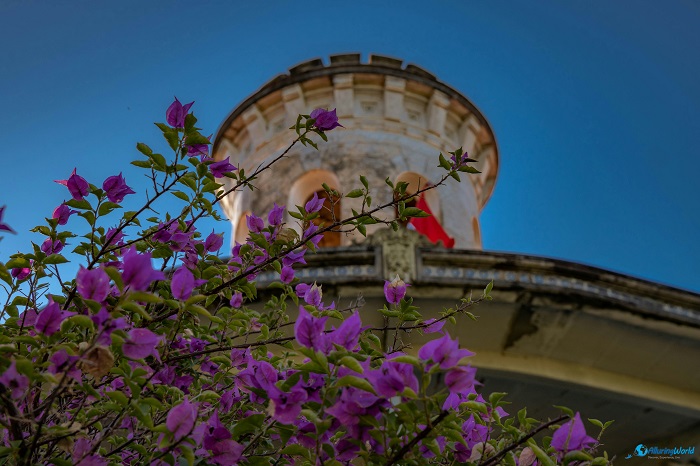 3 Castillo Carlota Palmerola
