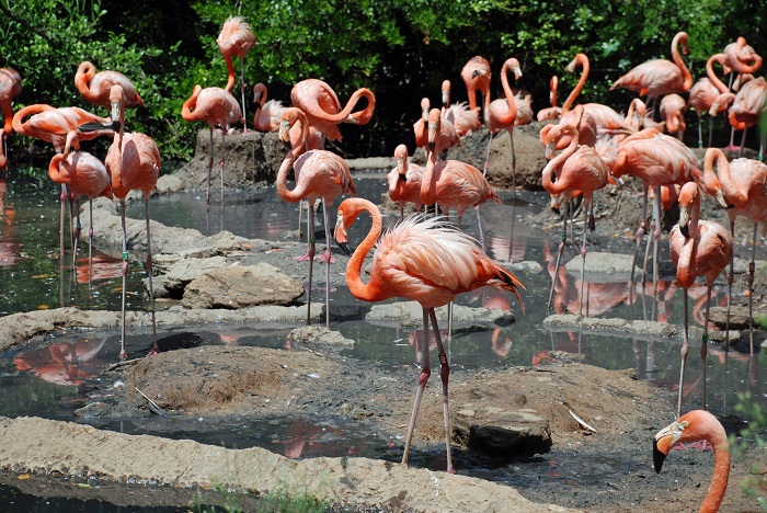 Source: flickr.com by Curtis & Renee 6 Bermuda Aquarium, Museum and Zoo