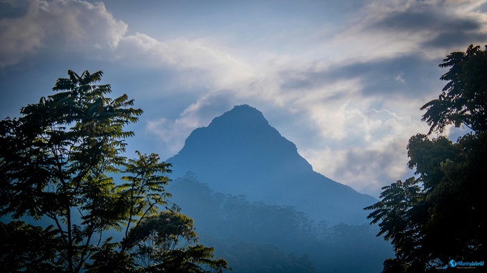 8 Adams Peak