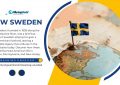 New Sweden (Nya Sverige) - Meaning Unveiled