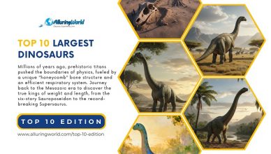 10 Largest Dinosaurs That We Know of Today - Top 10 Edition