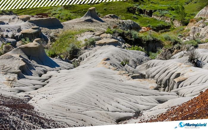 10 Dinosaur Provincial Park