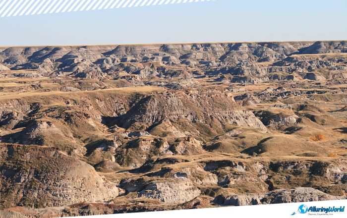 11 Dinosaur Provincial Park