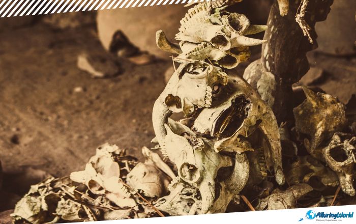 6 Vodun Temples of Abomey