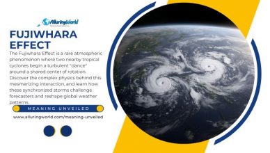 Fujiwhara Effect - Meaning Unveiled