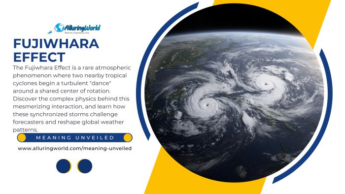 Fujiwhara Effect - Meaning Unveiled