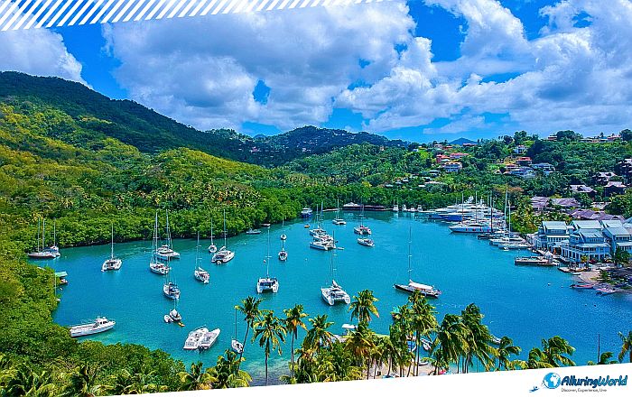 3 Marigot Bay in Saint Lucia