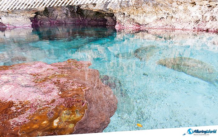 4 Avaiki Cave in Niue