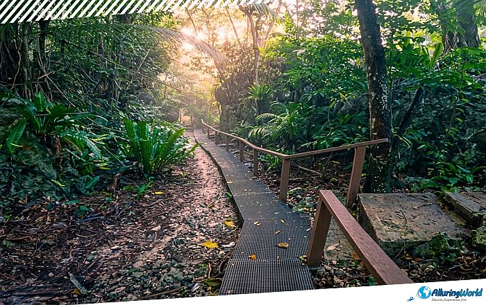8 Avaiki Cave in Niue