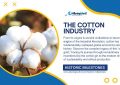 The Cotton Industry From Field to Fabric and Beyond - Historic Milestones