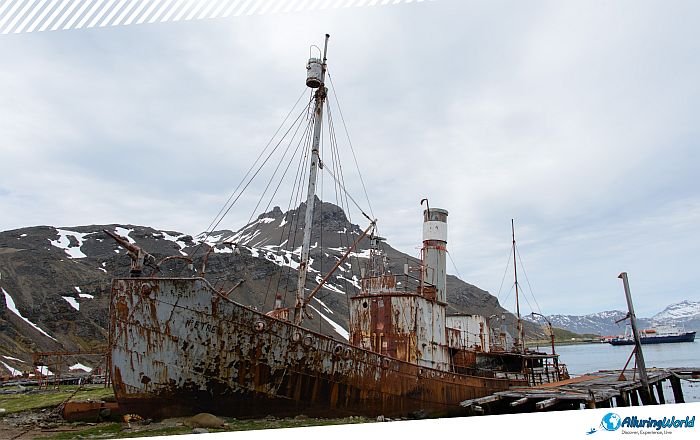 1 Abandoned Ship Petrel on South Georgia