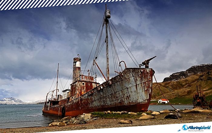 10 Abandoned Ship Petrel on South Georgia