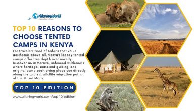 10 Reasons to Choose Legacy Tented Camps in Kenya on a Safari - Top 10 Edition.png