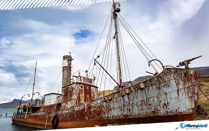 11 Abandoned Ship Petrel on South Georgia