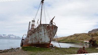 4 Abandoned Ship Petrel on South Georgia
