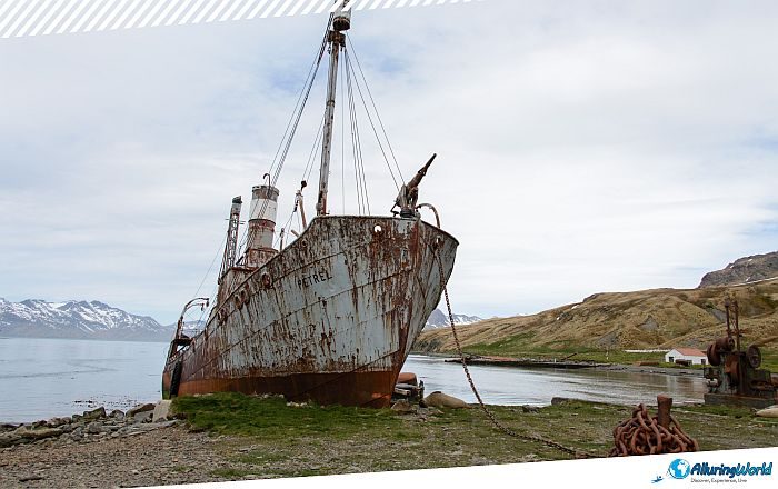 4 Abandoned Ship Petrel on South Georgia