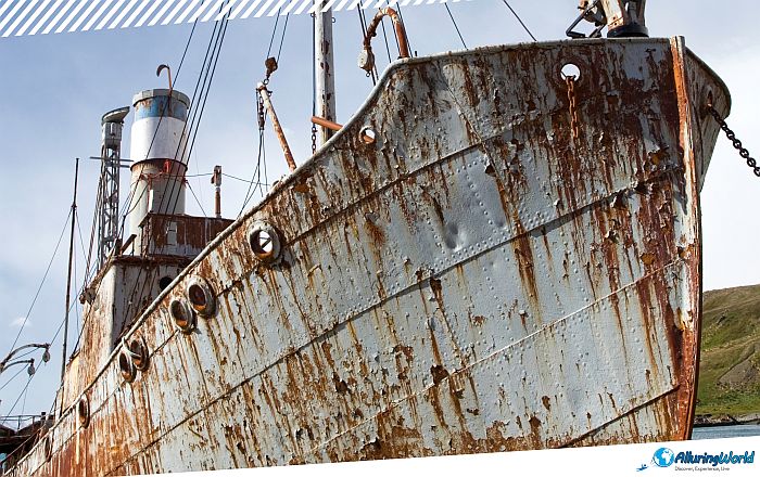 8 Abandoned Ship Petrel on South Georgia