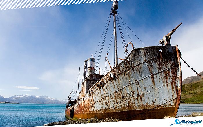 9 Abandoned Ship Petrel on South Georgia