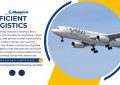 Efficient Logistics - Meaning Unveiled