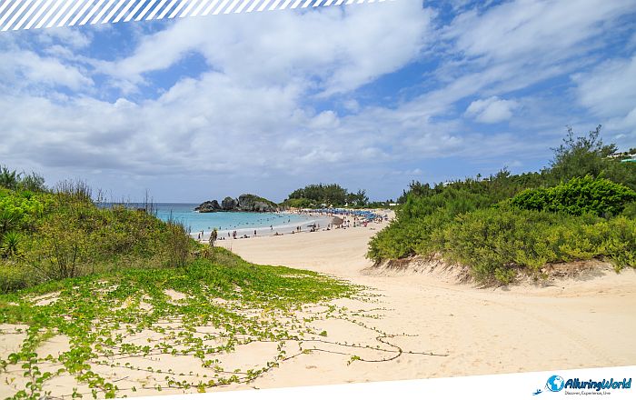 8 Horseshoe Bay Beach