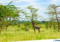 1 Boma National Park, South Sudan