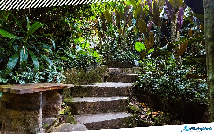 11 Las Pozas, Mexico