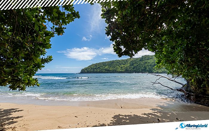 11 Leʻala Shoreline