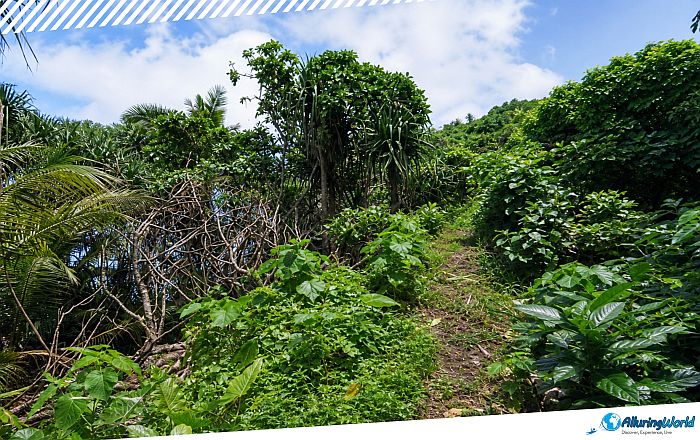 12 Leʻala Shoreline