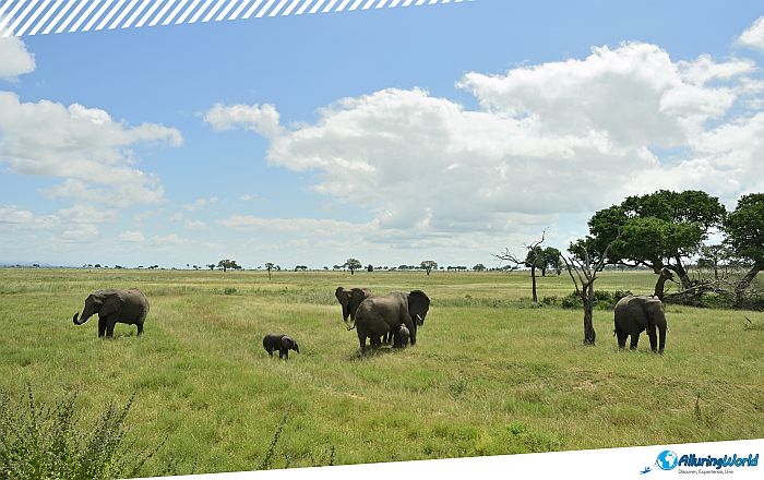 2 Boma National Park, South Sudan