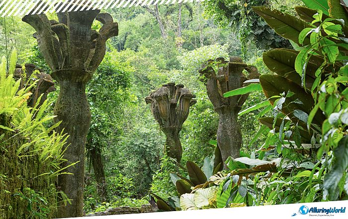2 Las Pozas, Mexico