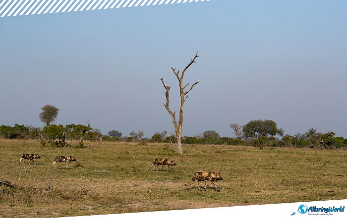 3 Boma National Park, South Sudan