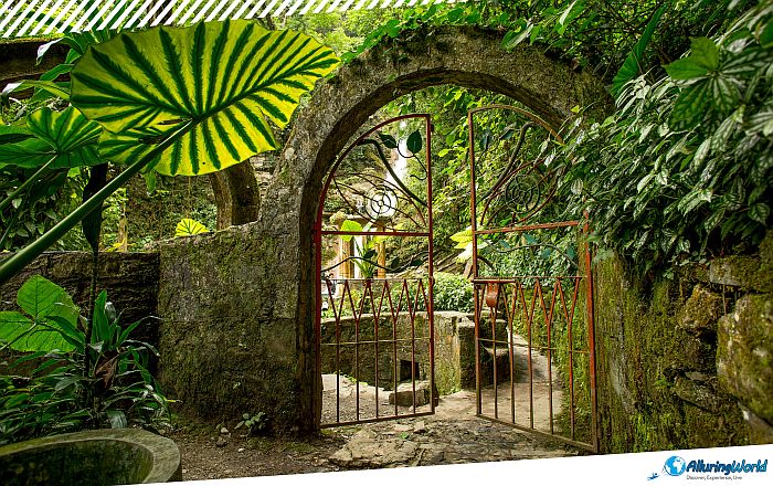 3 Las Pozas, Mexico