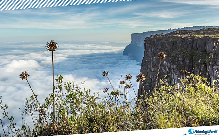6 Kukenán Tepui